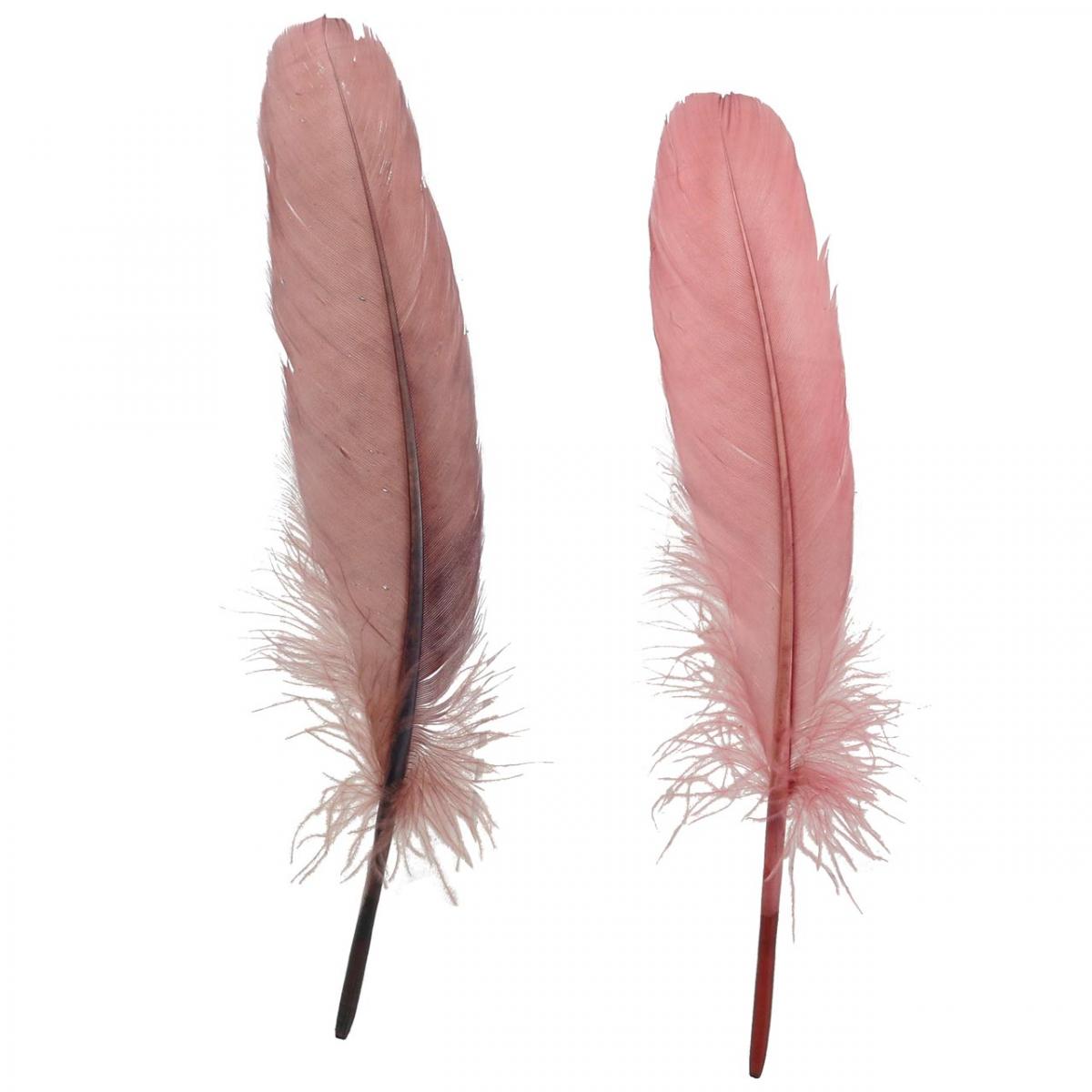 Piume decorative per artigianato Piume di uccelli vere rosa  scuro 20g-04152