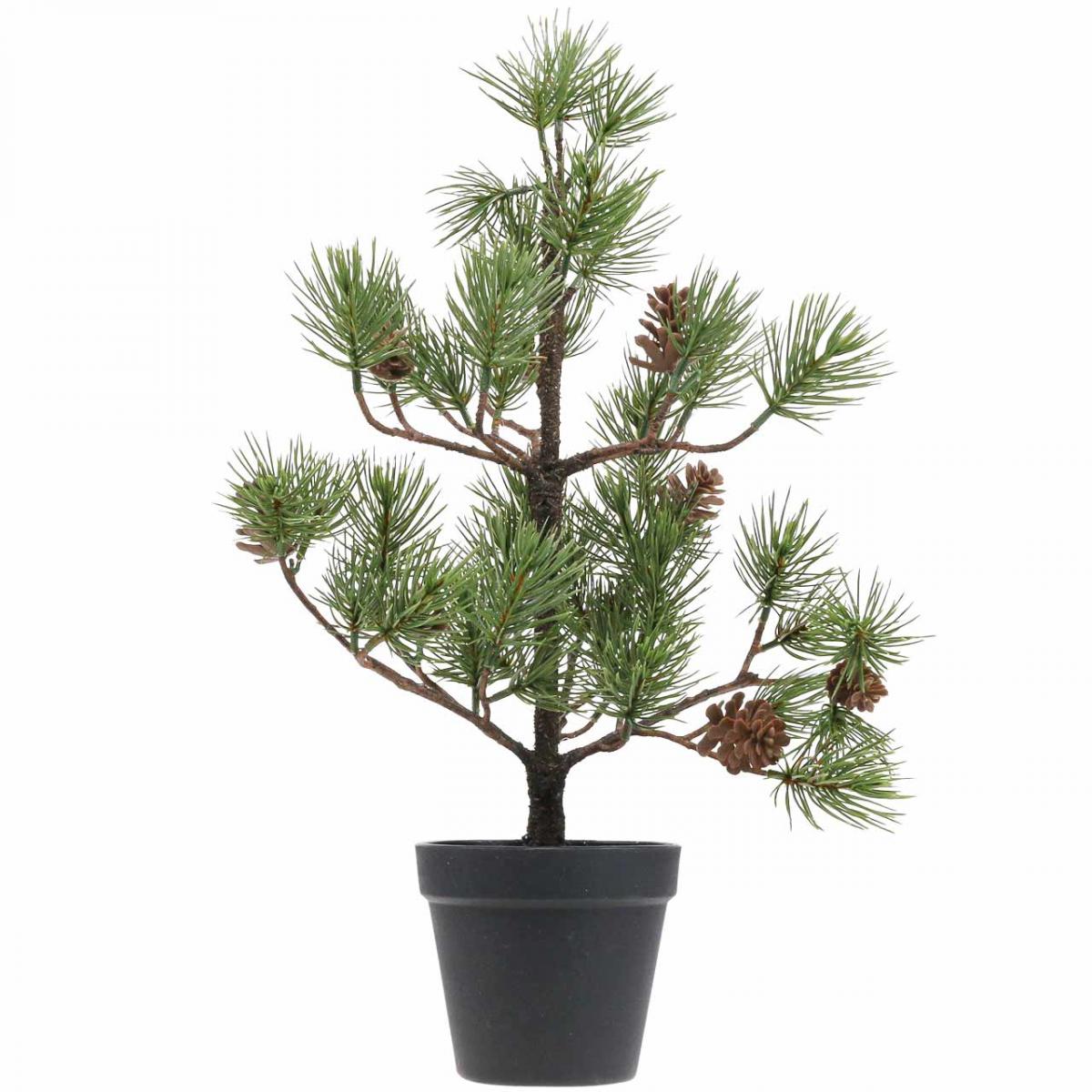 Ramo pino cedro con pigne – Stile Nordico