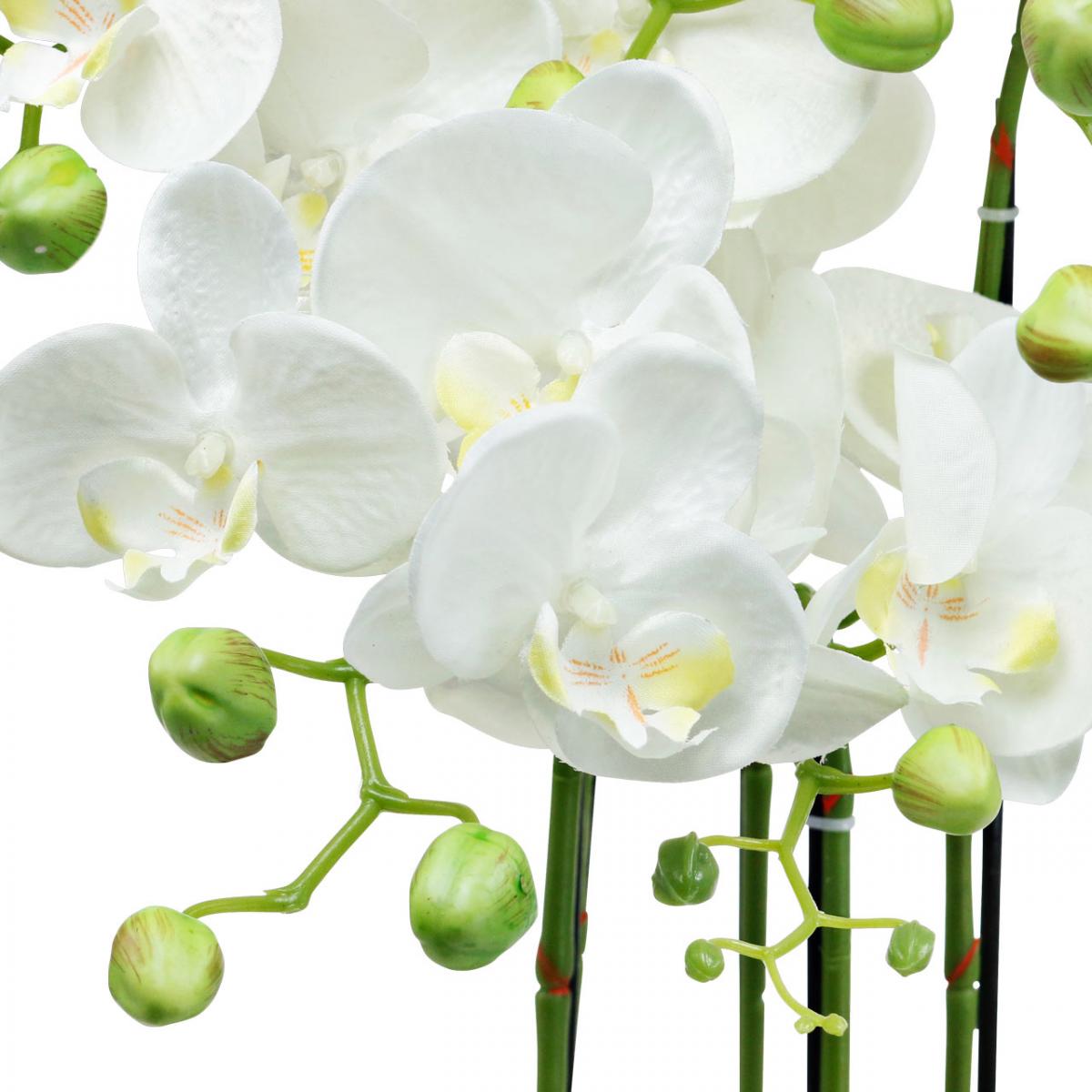 2 Orchidee Artificiali Nere In Lattice 38 Cm – Piante Finte Phalaenopsis, Realistiche Al Tattoo, Per Casa E Matrimoni - 6