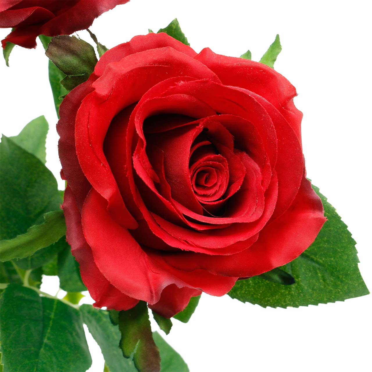 Rose Artificiali Nere E Rosse In Seta - 10 Rose Con Steli Di 50 Cm, Per Decorazione Casa, Matrimoni Gotici, Halloween, Fai Da Te