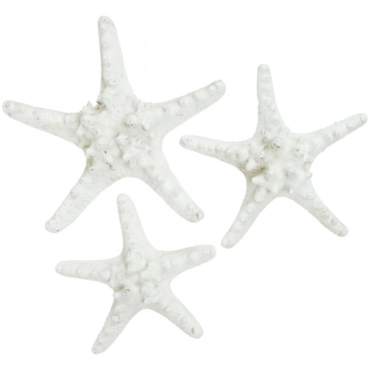 N/A pesce con stella marina e conchiglia da appendere decorazione marittima E107 24 x 19 cm 
