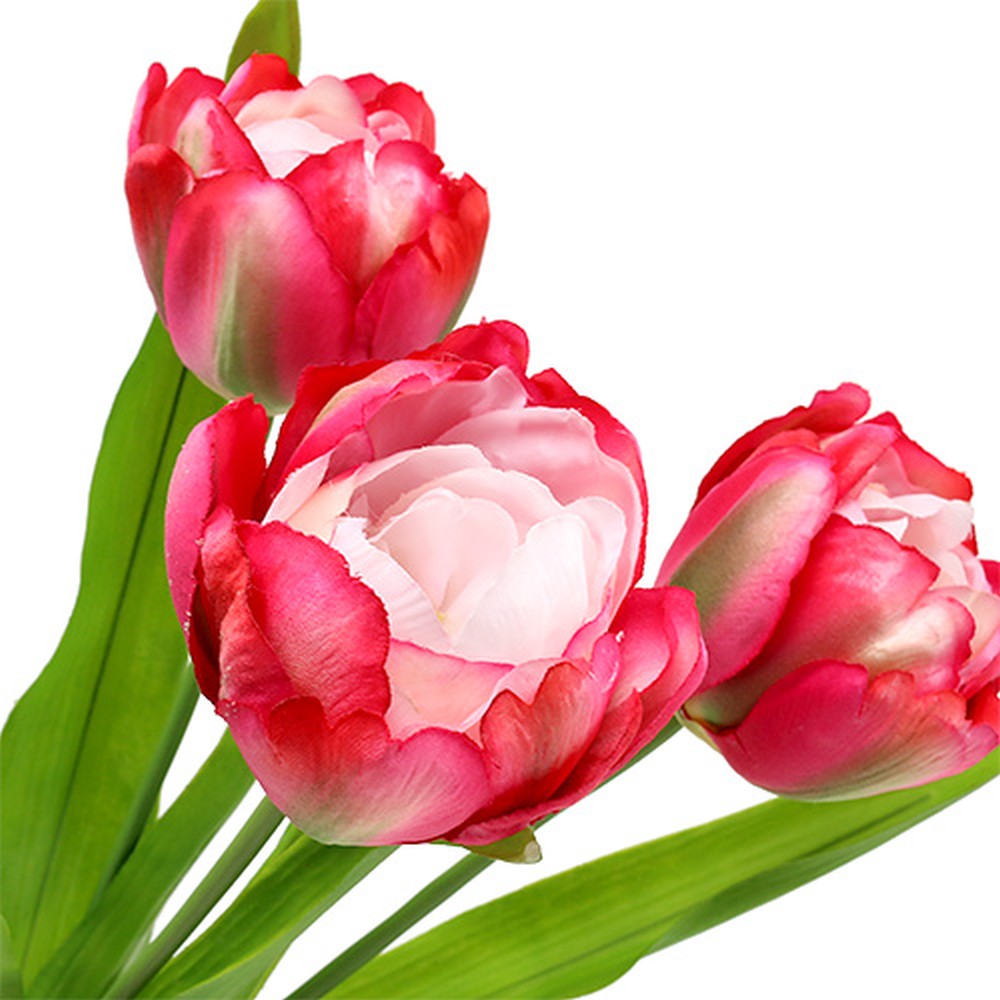 Klocke Tulipano Artificiale In Vaso, Altezza 26 Cm, Colore Crema Con Fiore Aperto, Realistico E Di Alta Qualità