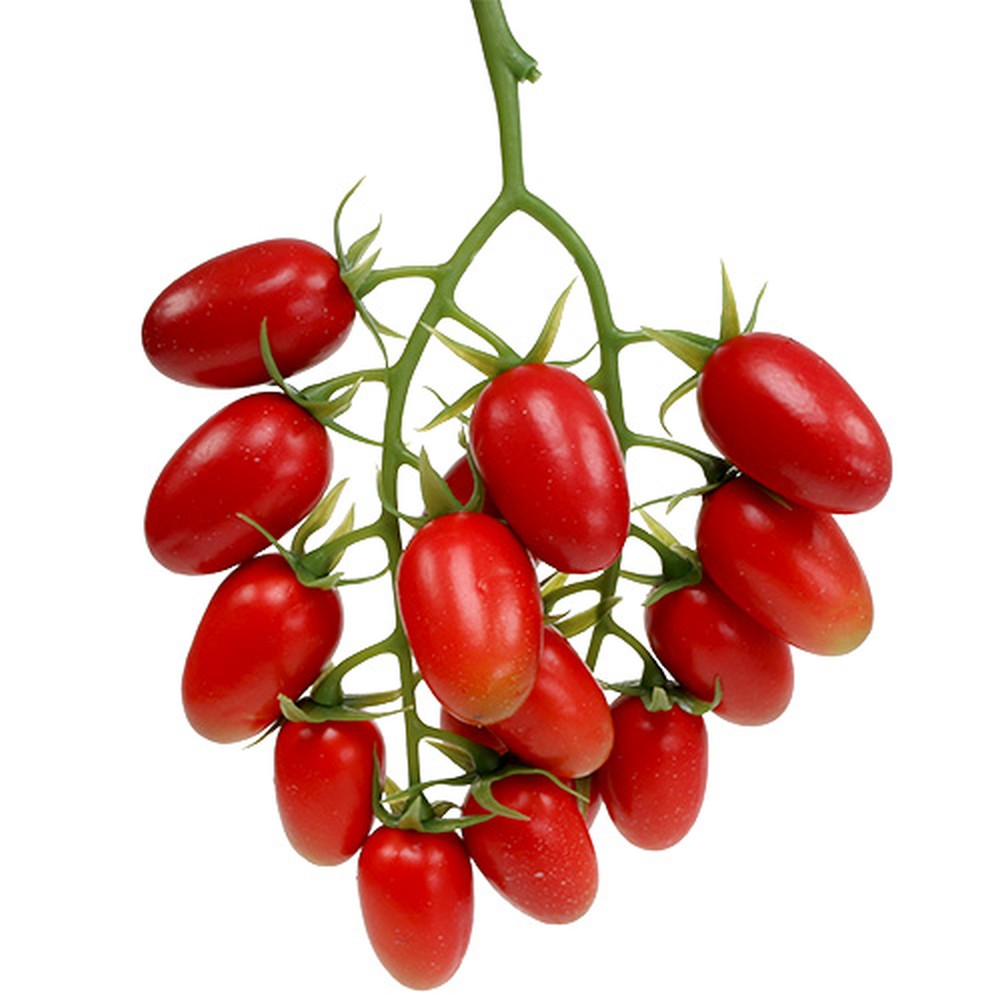 15 pezzi di pomodori artificiali,pomodori finti per la decorazione di verdure artificiali,pomodori,pomodori di simulazione di dimensioni normali,decorazioni per la casa,decorazioni per feste Chirstmas 15 pezzi di pomodori artificiali,pomodori finti per la decorazione di verdure artificiali,pomodori,pomodori di simulazione di dimensioni normali,decorazioni per la casa,decorazioni per feste Chirstmas