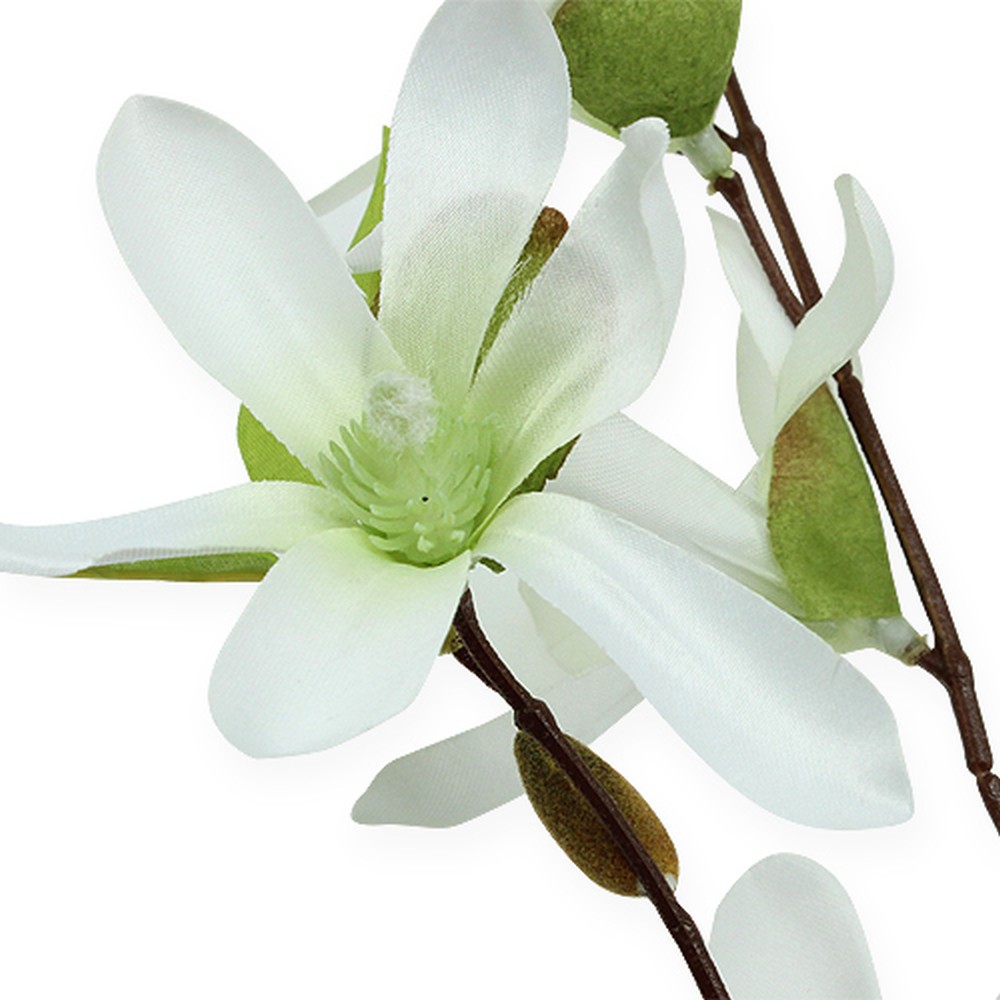DEDEMCO 4 rami secchi di fiori di magnolia,65 cm lungo gambo magnolia bouquet con foglie verdi,fiori artificiali di magnolia per decorazioni per la casa di nozze, bianco