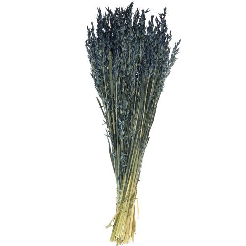 Prodotto Fiori secchi, decorazione di chicchi secchi di avena blu 68 cm 230 g