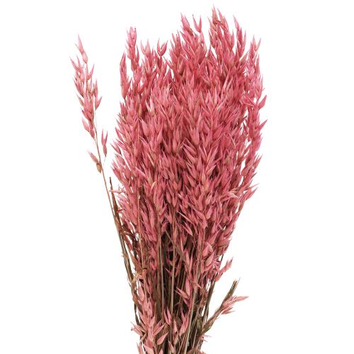 Fiori secchi, avena secca decorativa rosa 65 cm 160 g