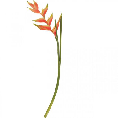 Prodotto Heliconia fiori artificiali artificiali rosa esotico, verde H103cm