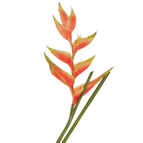 Floristik24 Heliconia fiori artificiali artificiali rosa esotico, verde H103cm