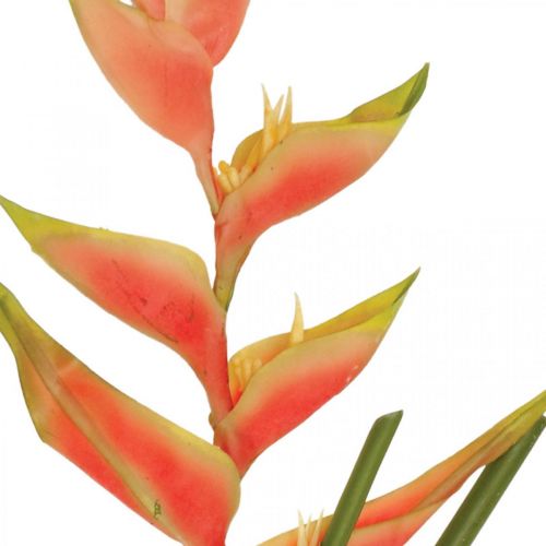 Prodotto Heliconia fiori artificiali artificiali rosa esotico, verde H103cm