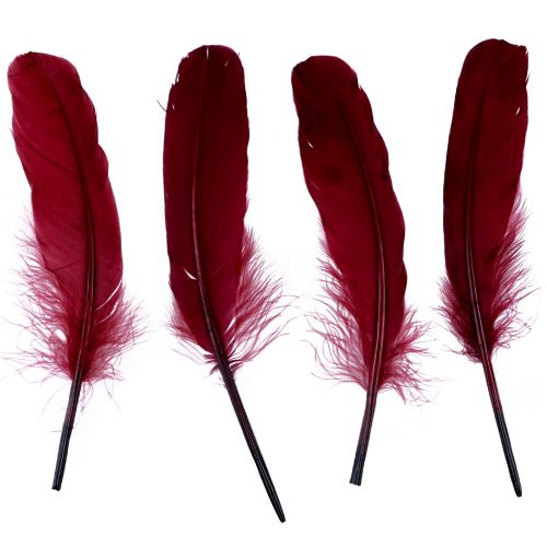 Floristik24 Piume decorative per l&#39;artigianato, vere piume di uccelli, rosso vino, 20 g