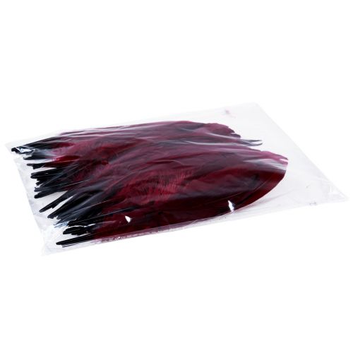 Prodotto Piume decorative per l&#39;artigianato, vere piume di uccelli, rosso vino, 20 g