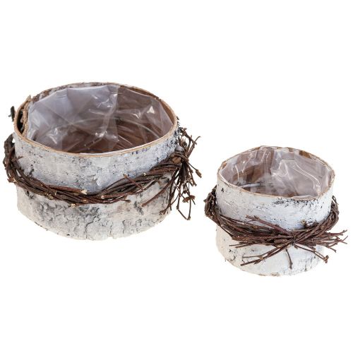 Floristik24 Fioriera in legno di betulla vaso in legno di betulla bianco Ø11/16cm set di 2