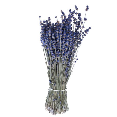 Lavanda essiccata Mazzo di fiori secchi Blu 25cm 75g
