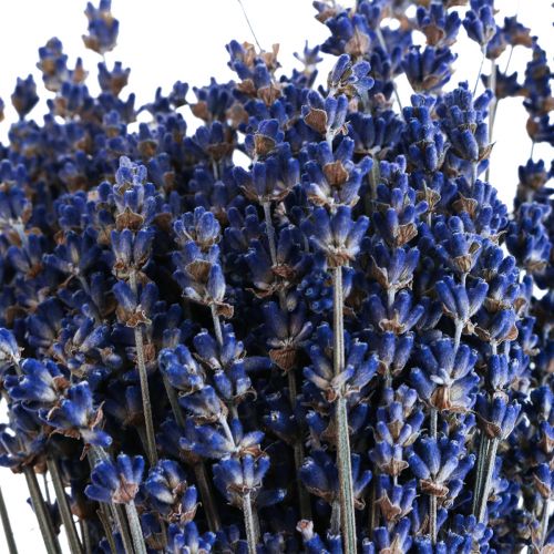 Prodotto Lavanda essiccata Mazzo di fiori secchi Blu 25cm 75g