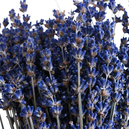 Prodotto Mazzo di lavanda essiccata fiori secchi blu 25 cm 75 g