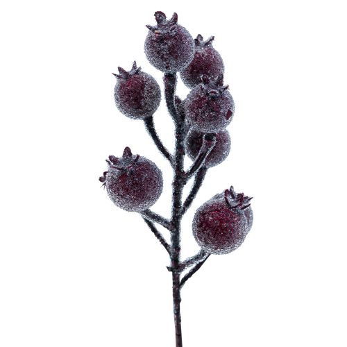 Floristik24 Ramo di rosa canina ramo di bacca gelo pianta artificiale rossa 25 cm 12 pezzi