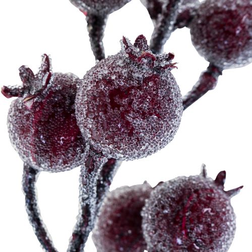 Floristik24 Ramo di rosa canina ramo di bacca gelo pianta artificiale rossa 25 cm 12 pezzi