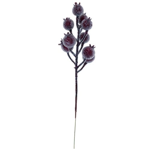 Floristik24 Ramo di rosa canina ramo di bacca gelo pianta artificiale rossa 25 cm 12 pezzi