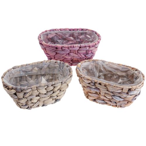 Prodotto Cesto per piante cesto di alghe marine fioriera in giacinto d&#39;acqua ovale 20,5 cm 3 pz