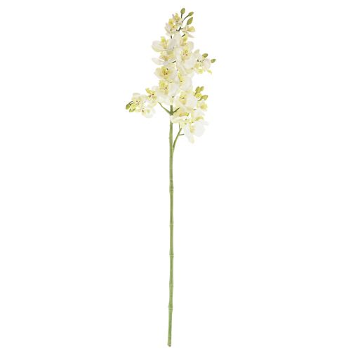 Prodotto Phalaenopsis Orchidee Artificiali Fiori Artificiali Bianchi 70cm
