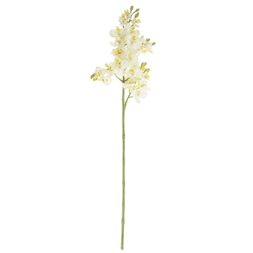 Floristik24 Phalaenopsis Orchidee Artificiali Fiori Artificiali Bianchi 70cm