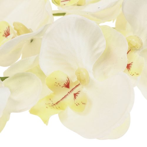 Floristik24 Phalaenopsis Orchidee Artificiali Fiori Artificiali Bianchi 70cm