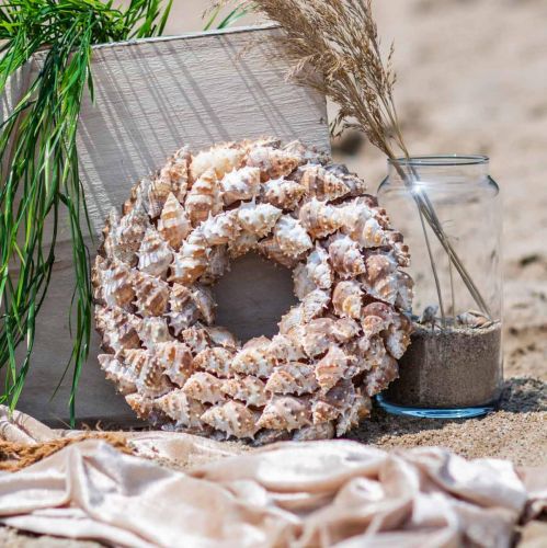 Floristik24 Deco lumache ghirlande Decorazione marittima porta ghirlande lumache di mare Ø25cm