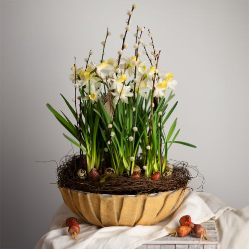 Floristik24 Fioriera rotonda, decorazione floreale, ciotola di plastica, vaso per composizioni verde, bianco screziato H8,5 cm Ø30 cm