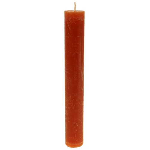 Floristik24 Candele in stick candele colorate marroni 34×240mm 4pz