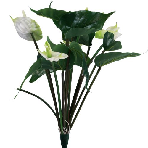 Floristik24 Fiori artificiali, fiore di fenicottero, anthurium artificiale bianco 36 cm