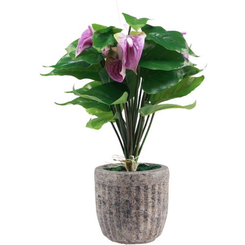 Floristik24 Fiori artificiali piante artificiali di anthurium artificiale in vaso 41 cm