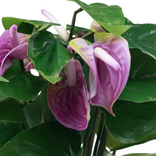 Floristik24 Fiori artificiali piante artificiali di anthurium artificiale in vaso 41 cm