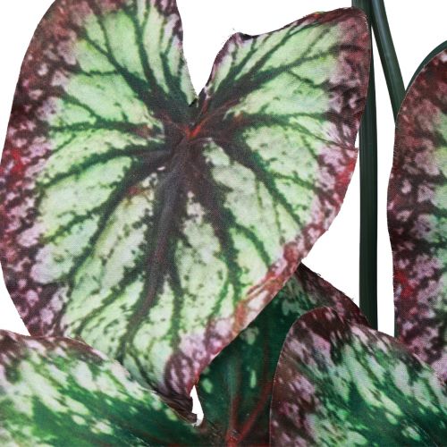 Prodotto Begonia Piante Artificiali Foglia Begonie Verde Viola 62cm