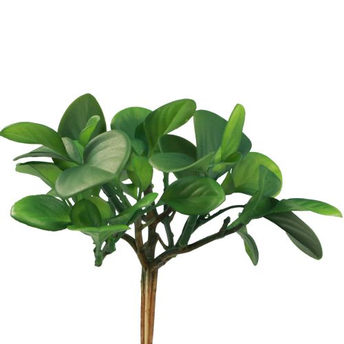 Prodotto Pianta verde artificiale succulenta verde artificiale H14cm