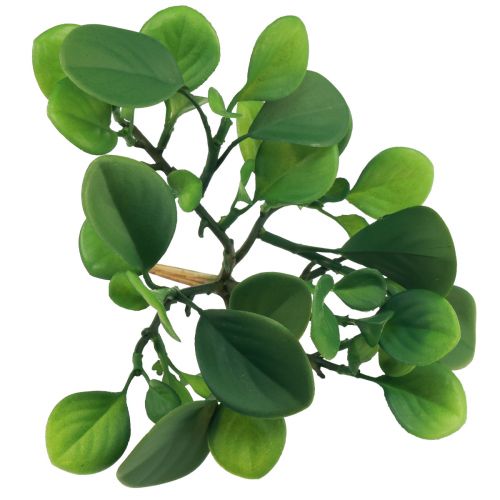 Prodotto Pianta verde artificiale succulenta verde artificiale H14cm