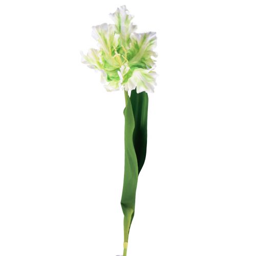 Floristik24 Fiore artificiale tulipano pappagallo tulipano artificiale verde bianco 69 cm