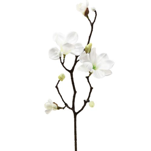 Floristik24 Ramo di magnolia artificiale, magnolia bianca artificiale, 58 cm, 3 pezzi
