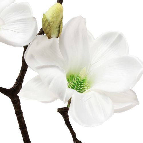 Floristik24 Ramo di magnolia artificiale, magnolia bianca artificiale, 58 cm, 3 pezzi
