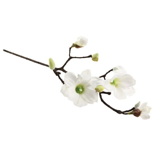 Floristik24 Ramo di magnolia artificiale, magnolia bianca artificiale, 58 cm, 3 pezzi