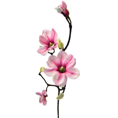 Floristik24 Fiore artificiale magnolia ramo magnolia rosa artificiale 59 cm