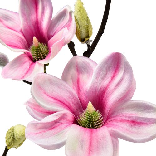 Prodotto Fiore artificiale Magnolia Ramo Magnolia Artificiale Rosa 59cm 3pz