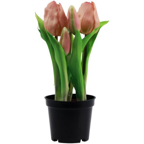 Tulipani artificiali in vaso Tulipani Fiori artificiali pesca 22 cm