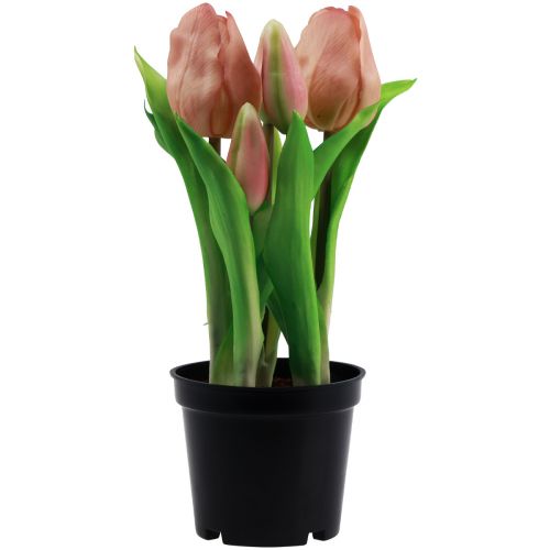 Floristik24 Tulipani artificiali in vaso Tulipani Fiori artificiali pesca 22 cm