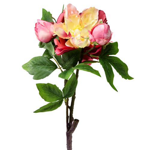 Floristik24 Peonie Fiori di seta Fiori artificiali Rosa Rosa 68 cm