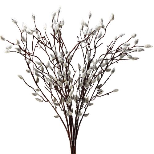 Floristik24 Decorazione di amenti di salice artificiale 73cm 4 pezzi