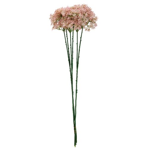 Floristik24 Fiore decorativo Wild Allium artificiale rosa 70 cm 3 pezzi