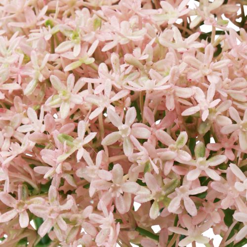 Prodotto Fiore decorativo Wild Allium artificiale rosa 70 cm 3 pezzi