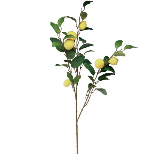 Floristik24 Ramo di limone decorativo con 6 limoni artificiali 100 cm