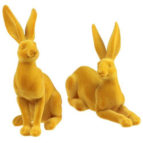 Floristik24 Coniglietto pasquale figura decorativa di coniglio al curry Coppia di coniglietti pasquali 16 cm 2 pz