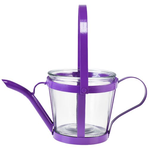 Prodotto Annaffiatoio decorativo in vetro lanterna metallo viola Ø14cm H13cm